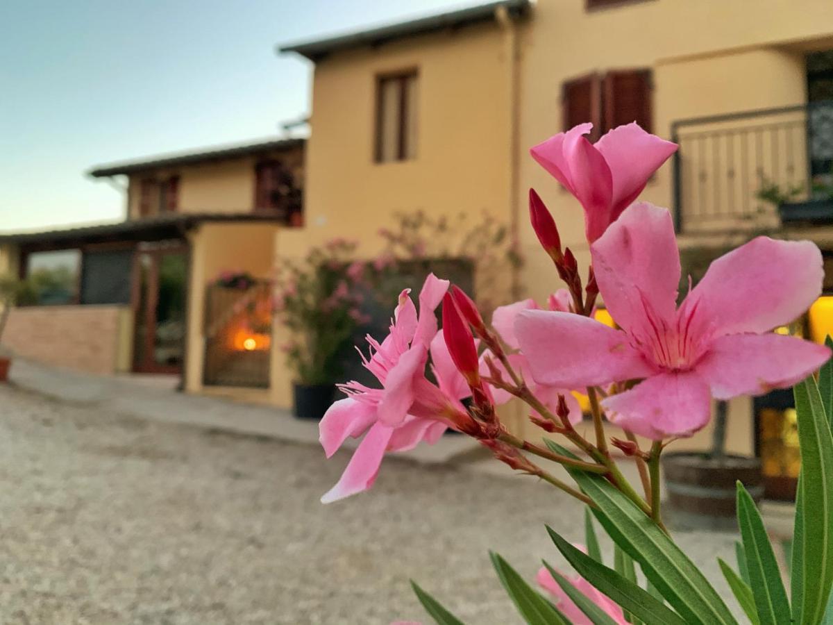 Chiaraluce Country House Massignano Exterior photo